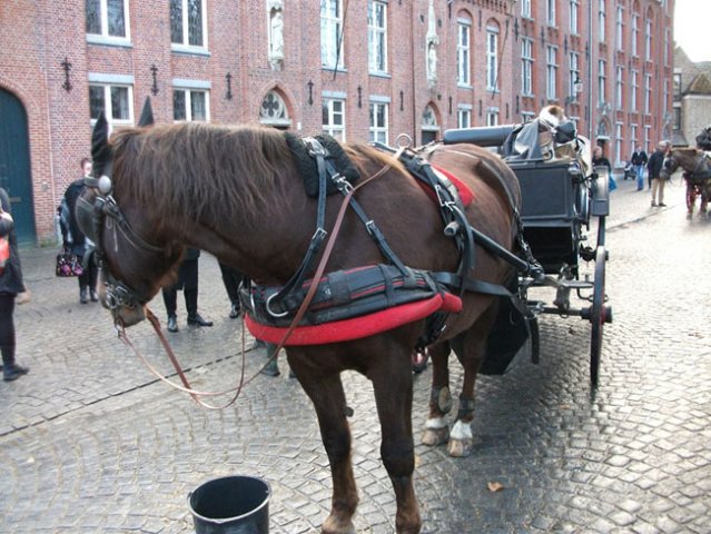 Brugge-Eisfigur-Gent